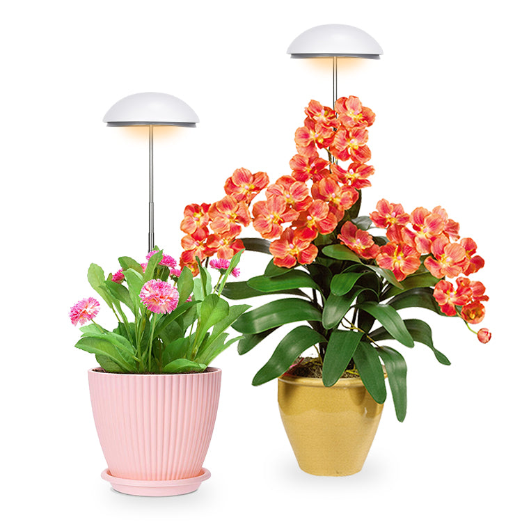 20W Half Round Grow Light Herb Garden Height Adjustable Automatic Timer Ideal for Plant Grow Novice Or Enthusiasts Various Plants DIY Decoration