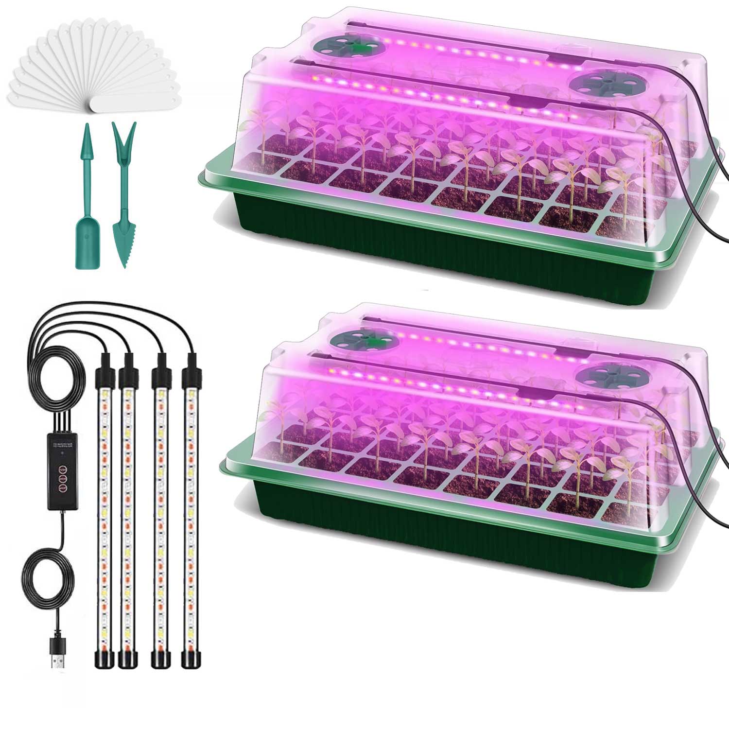 2 Packs Seed Starter Tray with Grow Light High Dome Seed Germination Kit 80 Cells with 4 LED Grow Lights Seedling Starter Kit with Smart Timer Red&Blue and Yellow Fullspectrum Growth Light