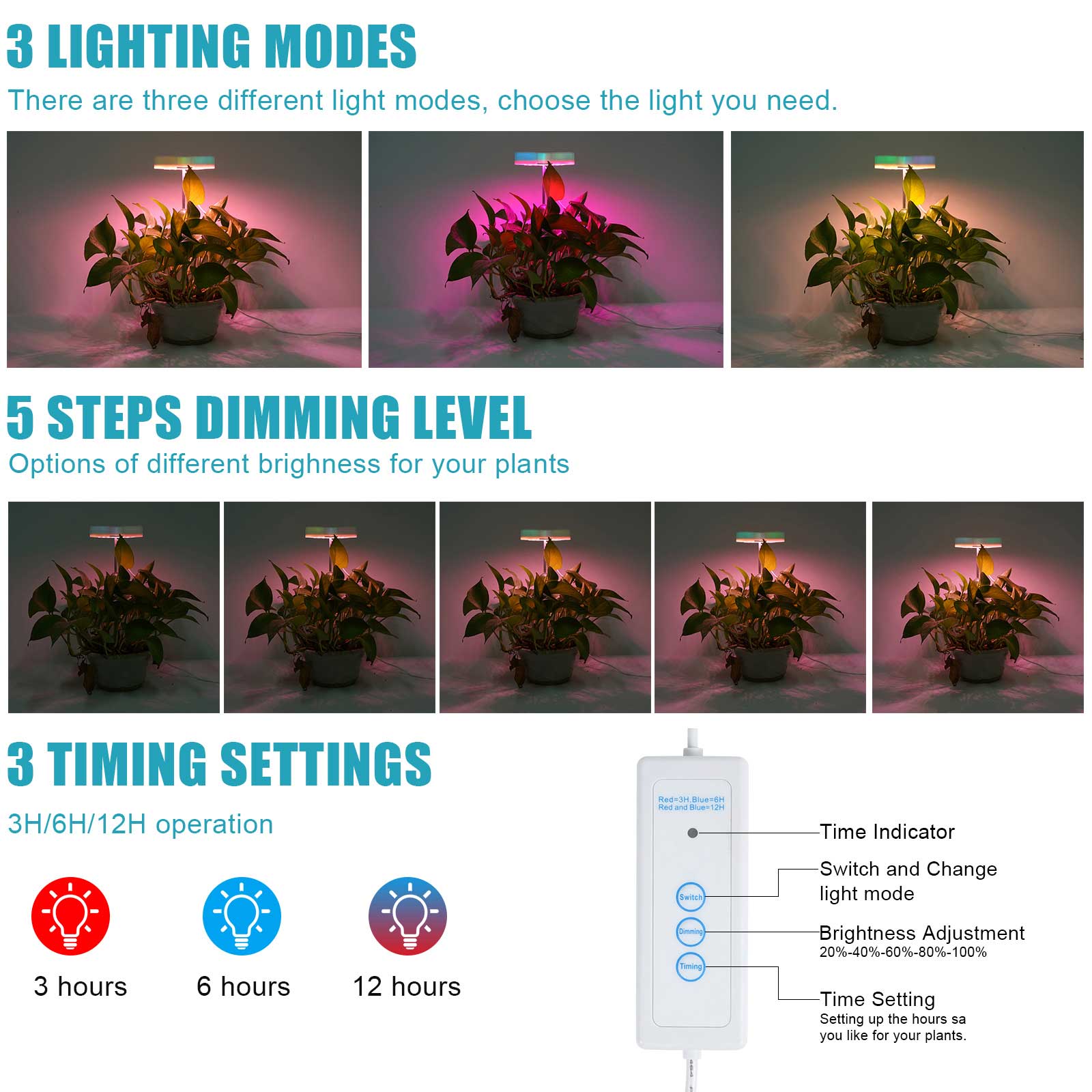 20W Half Round Grow Light Herb Garden Height Adjustable Automatic Timer Ideal for Plant Grow Novice Or Enthusiasts Various Plants DIY Decoration